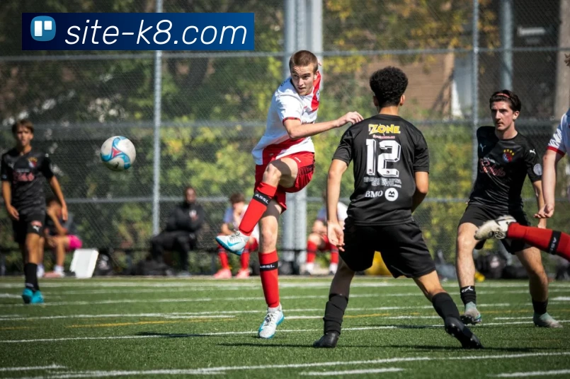 凯发娱乐平台生态图